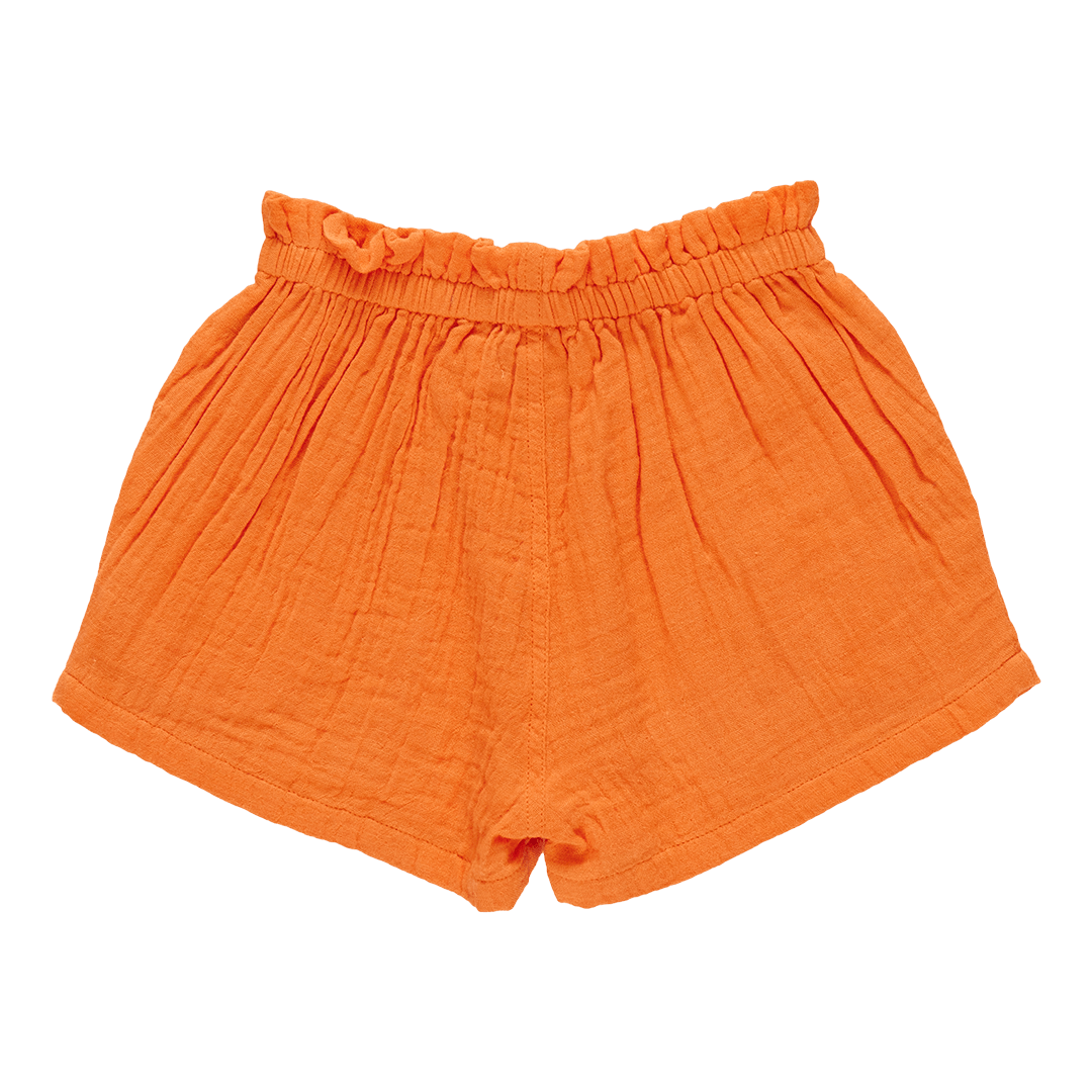 Theodore Shorts - TigerLily - Après NJ
