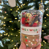 Grab & Go Dough Jar-Reindeer