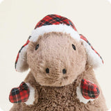 Cozy Capybara