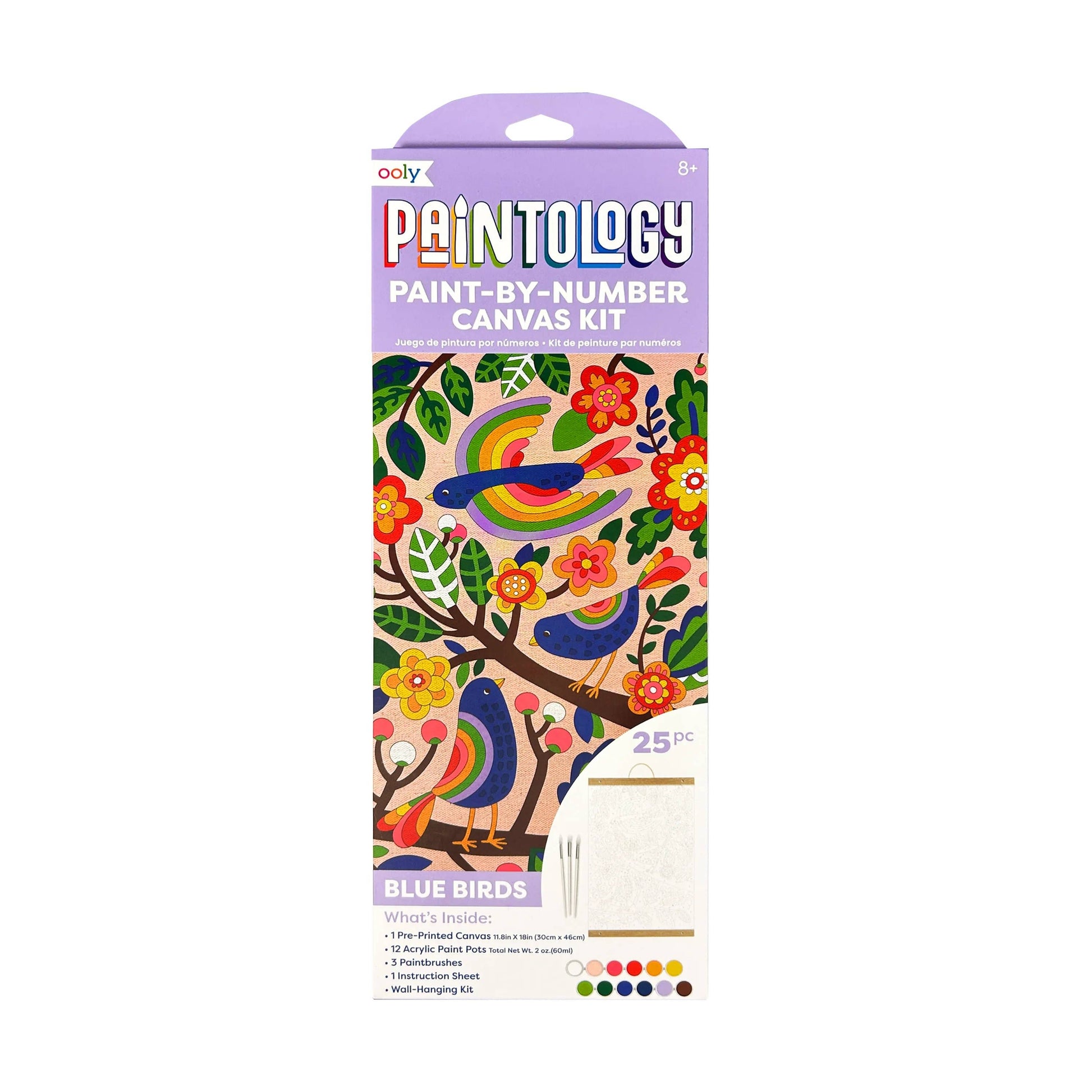 Bird paint by number canvas kit