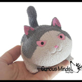 Angry Cat Squishy