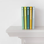 Snow Baby- Ski and Snowboard Book