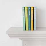 Snow Baby- Ski and Snowboard Book