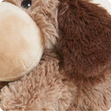 Brown Dog