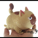 Angry Cat Squishy