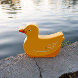 Duck Music Box