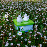 Dancing Bunnies Music Box