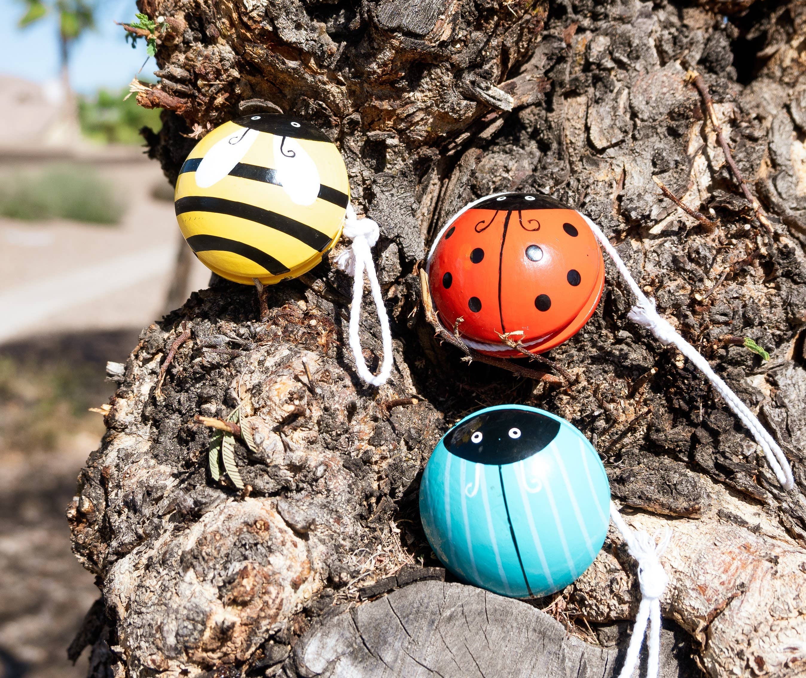 Three colorful ladybug-shaped yo-yos on a tree trunk.