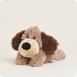 Brown Dog