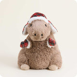 Cozy Capybara