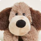 Brown Dog