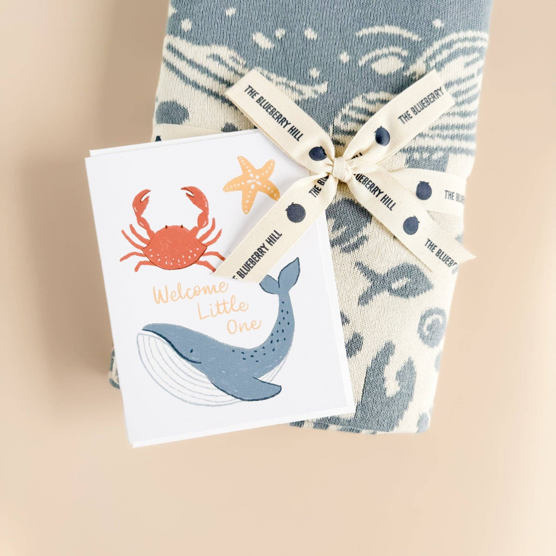 sweet nautical greeting card, welcome little one with blanket