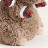 Cozy Capybara
