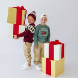 Christmas Tree Fair Isle Beanie - Boys Hats