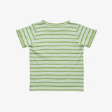 Willie T-Shirt in Palm Stripe