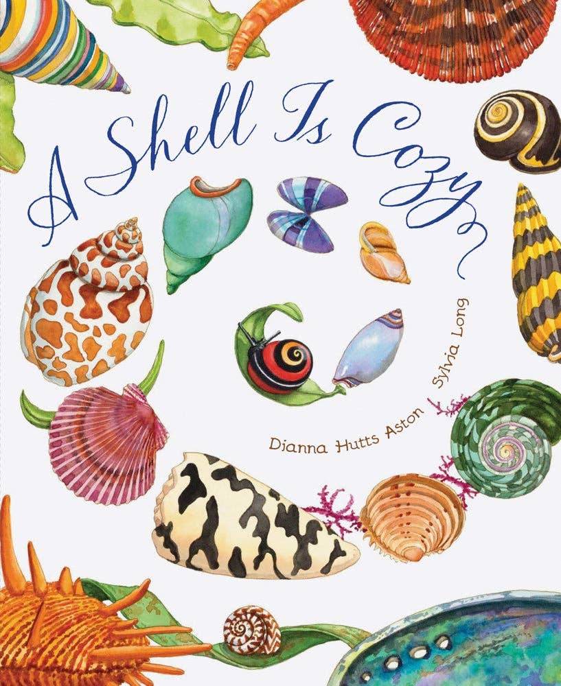 A Shell Is Cozy - Après NJ
