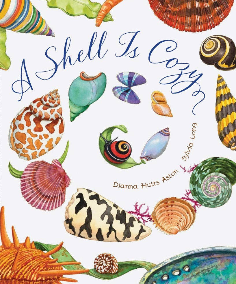 A Shell Is Cozy - Après NJ