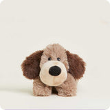Brown Dog
