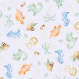 Dino - Land Print Zip Footie