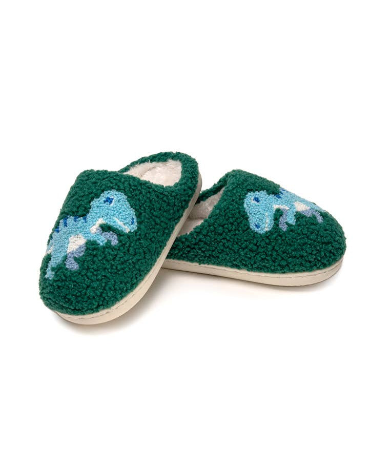 Blue Dinosaurs Slippers - Après NJ