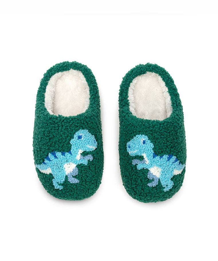 Blue Dinosaurs Slippers - Après NJ