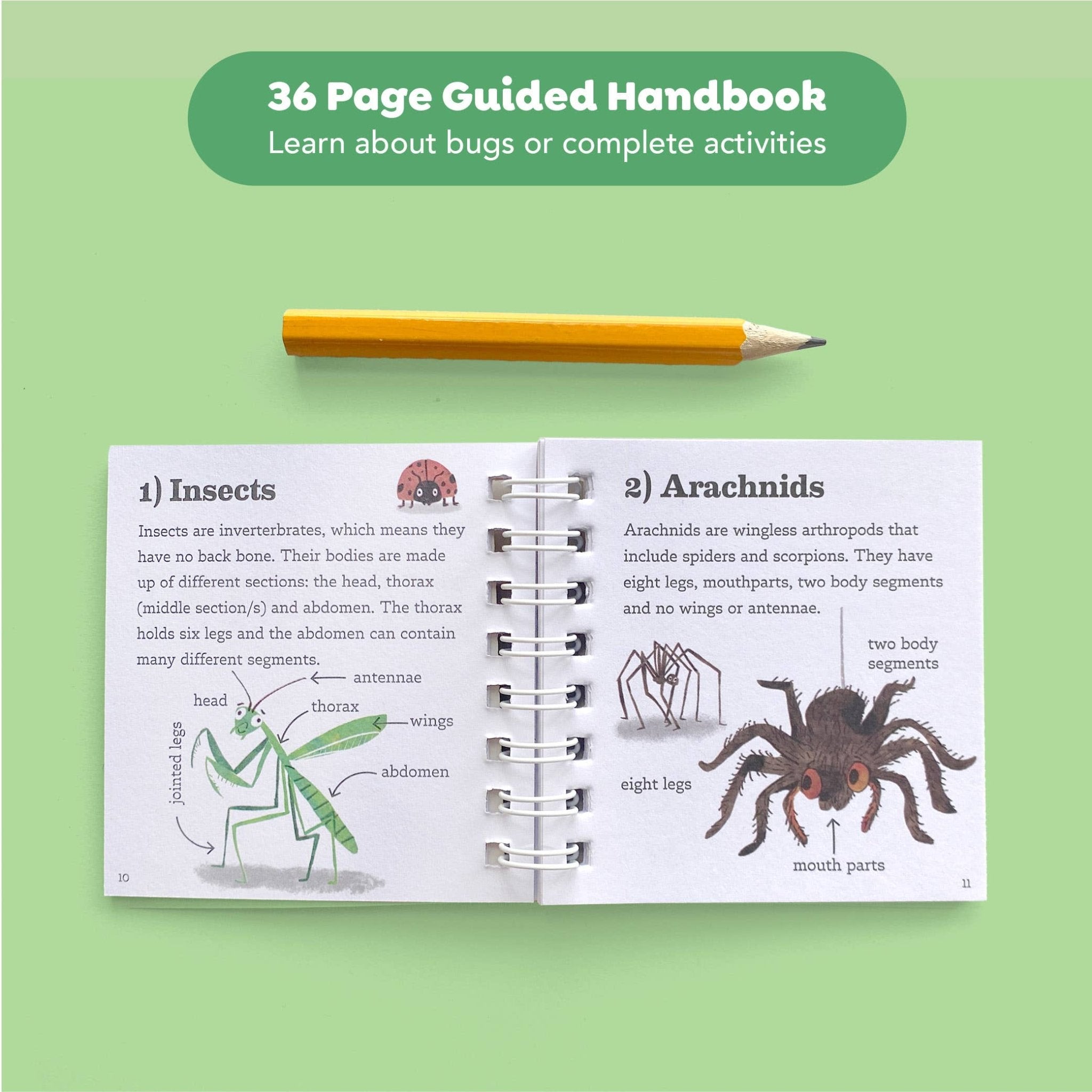 Bug Spotter Kit - Après NJ