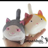 Angry Cat Squishy