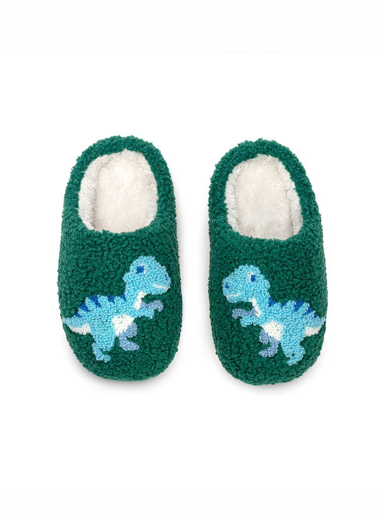 green slipper with blue dino on each 