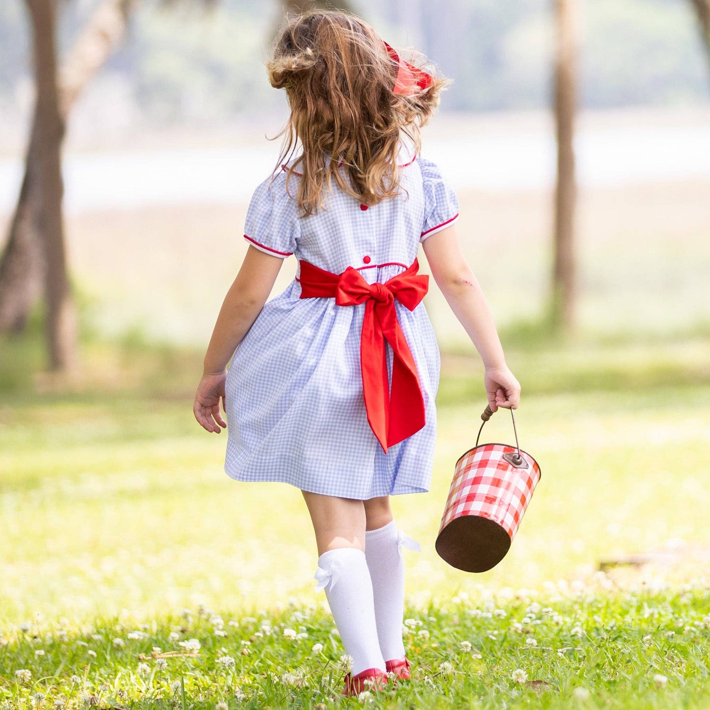 Blue Gingham Bowback Dress