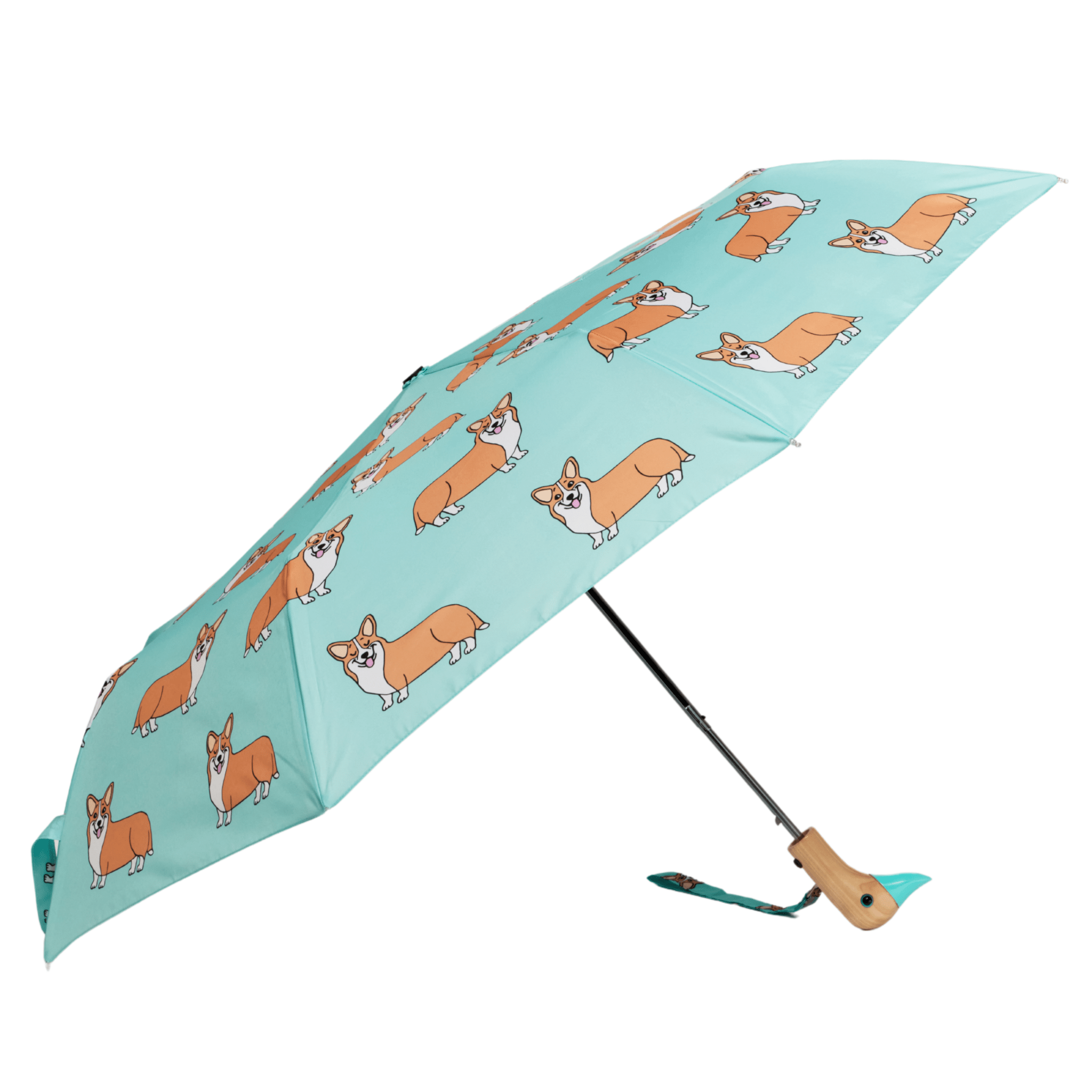 Corgi Dog Mint Umbrella - Après NJ