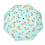 Corgi Dog Mint Umbrella - Après NJ