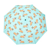 Corgi Dog Mint Umbrella - Après NJ