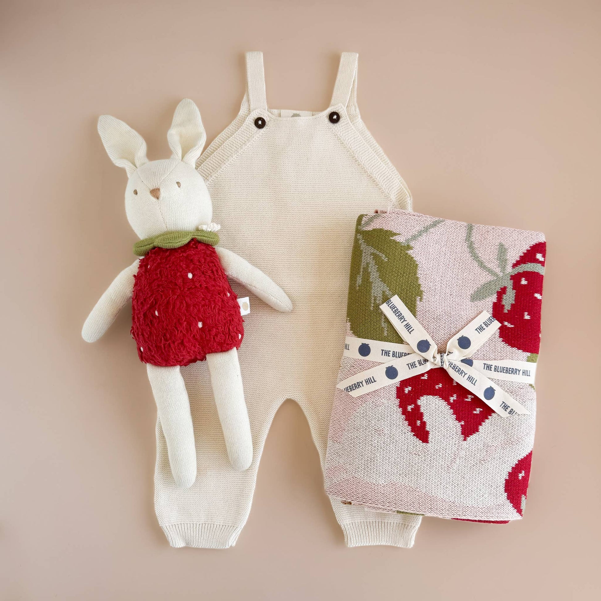 bunny and onesie with strawberry blanket 