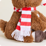 Rudolph with Scarf