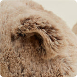 Brown Bear