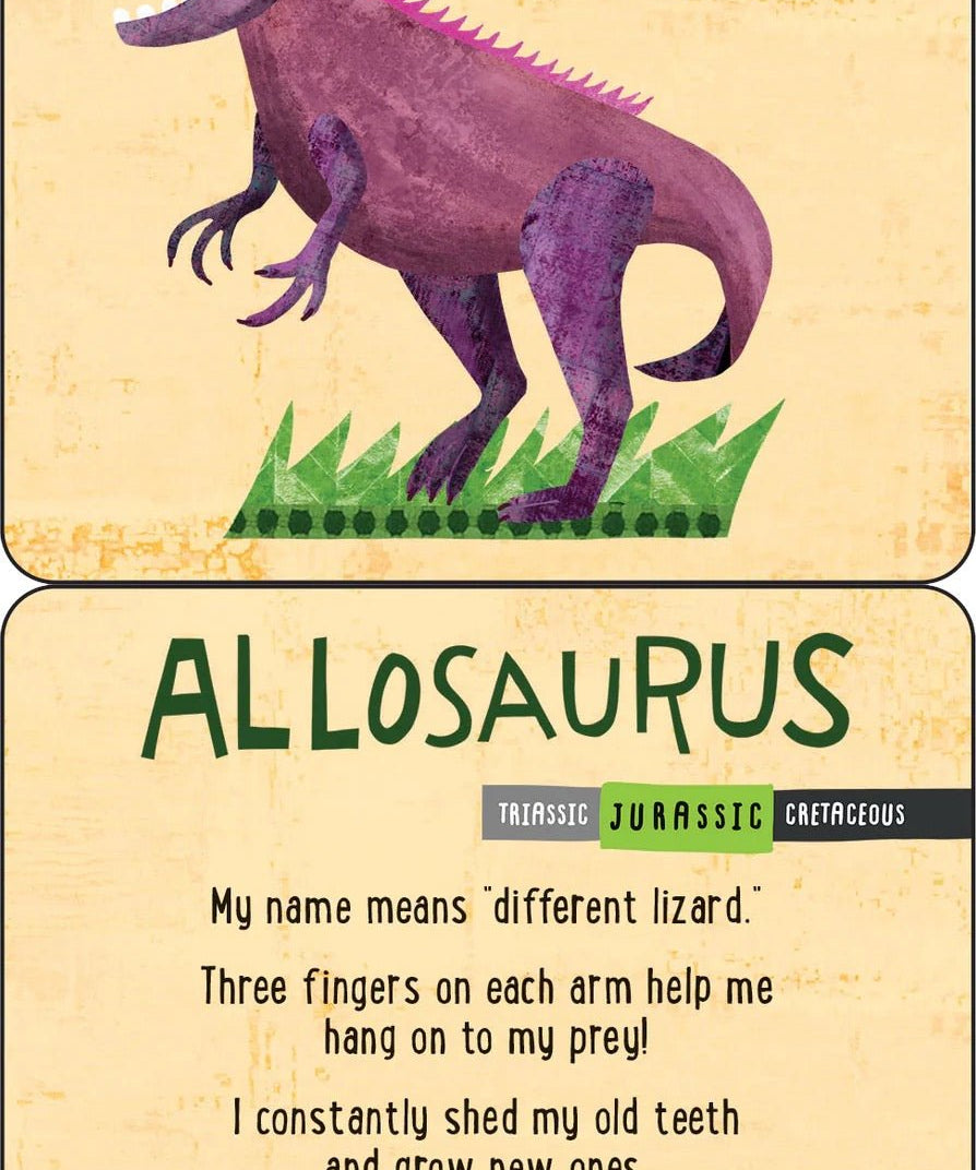 Dinosaur Lunchbox Notes - Après NJ