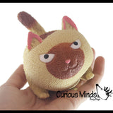 Angry Cat Squishy