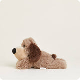Brown Dog