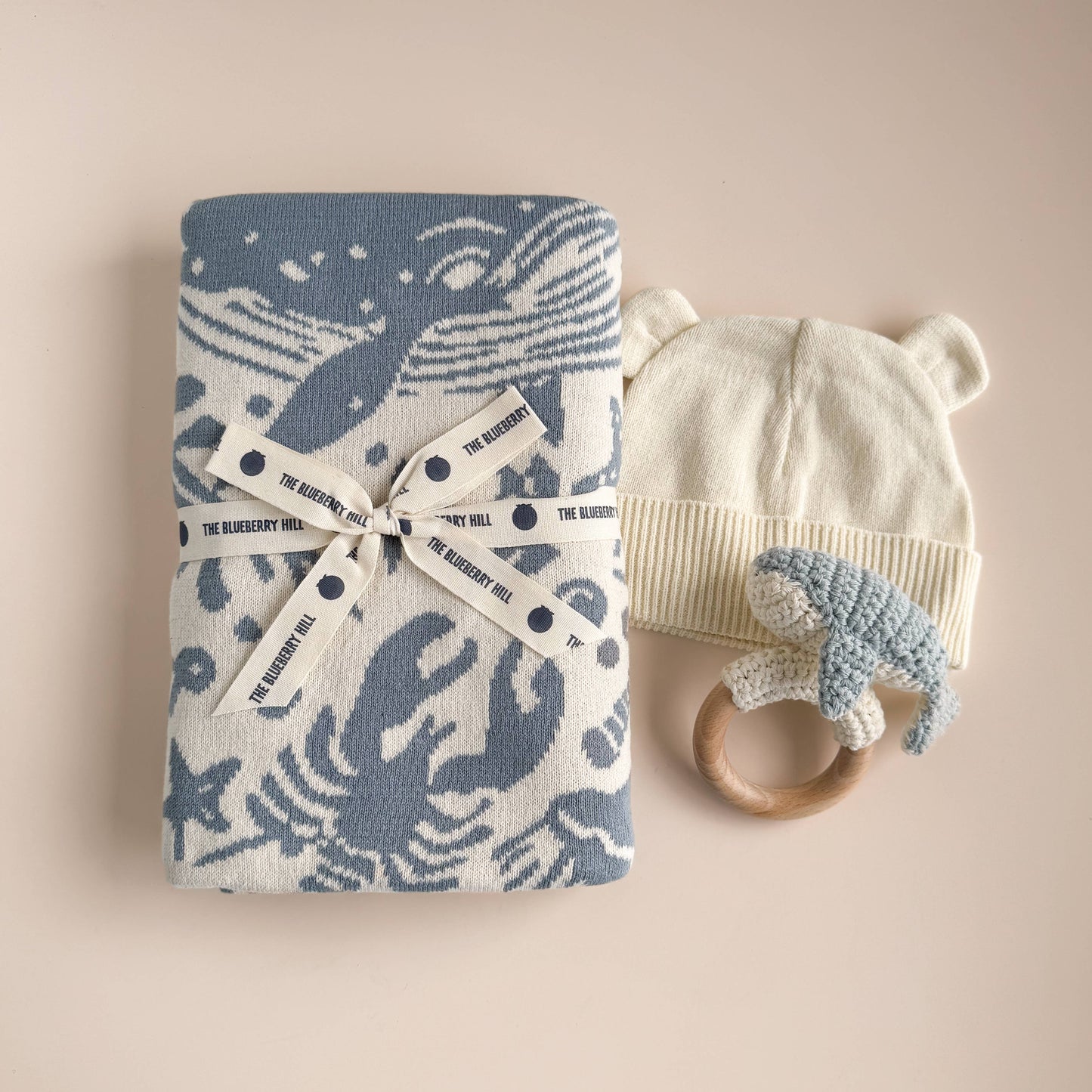 nautical blanket whale teether and cotton hat