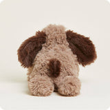 Brown Dog