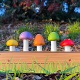 Mushroom Pop & Play