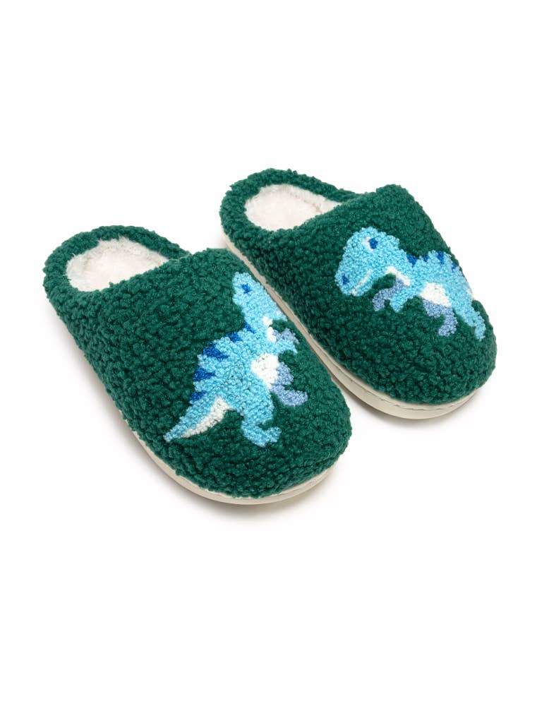 green slipper with blue dino on each 