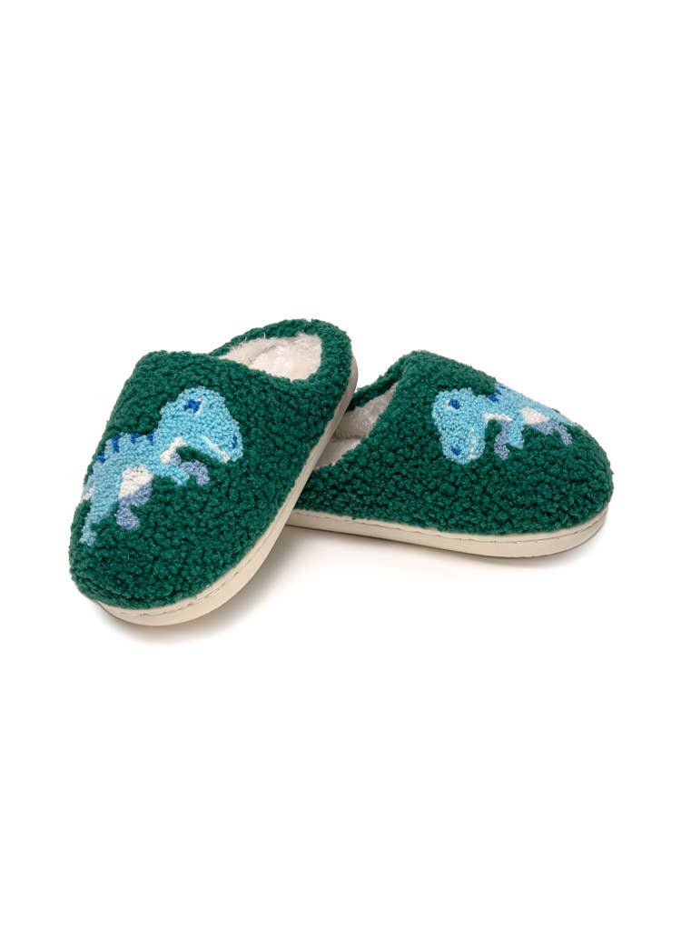 green slipper with blue dino on each 