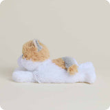Calico Cat Warmies Junior