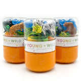Zoo Sensory Dough Jar