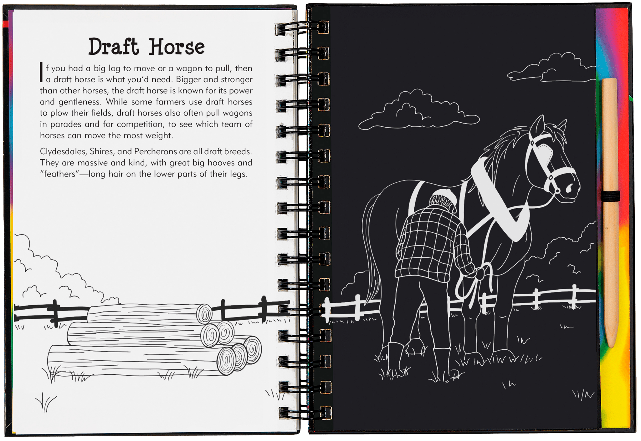 Horse Scratch & Sketch - Après NJ