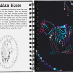 Horse Scratch & Sketch - Après NJ