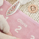 Milestone Mini Blush Blanket - Après NJ