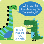 More Lunch Box Jokes Card Deck (Set of 60 cards) - Après NJ