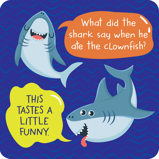 More Lunch Box Jokes Card Deck (Set of 60 cards) - Après NJ
